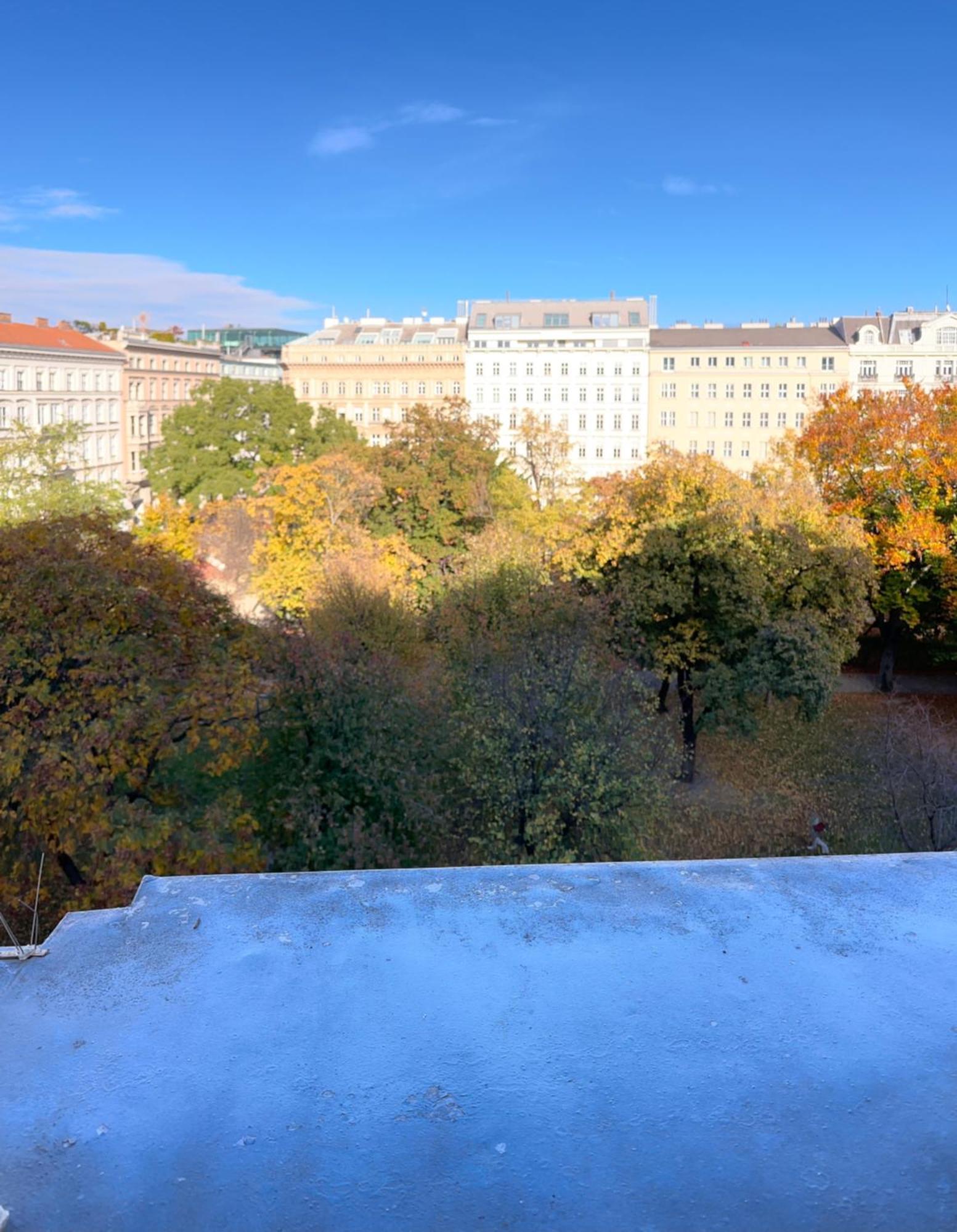Parkview Rudolfsplatz Apartamento Viena Exterior foto